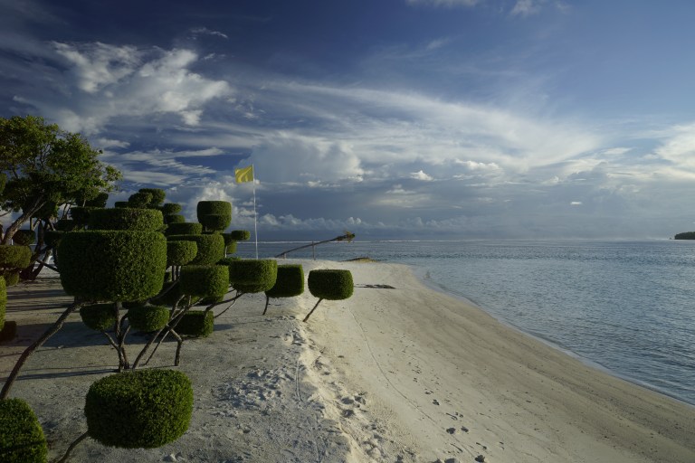 Noen steder på øya er trærne klippet i fine former.