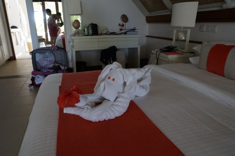 Når de ordner rommet vårt lager de dyr av håndkledene!