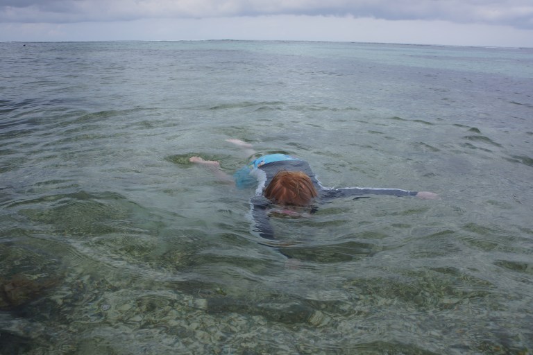 Dykker etter gullfisk.