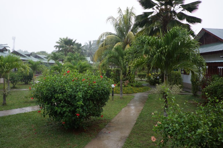 Regn, regn og pøsregn.