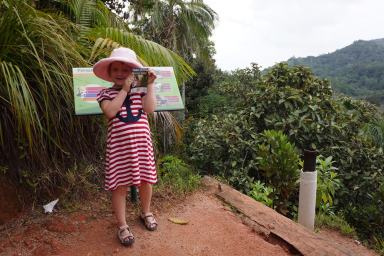 Et sted på turen kom vi over tretoppene og hadde utsikt helt til havet.
