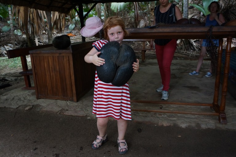 Coco de Mer er en palme de kun har på Seychellene. Nøttene ligner på rumper og er kjemepstore.