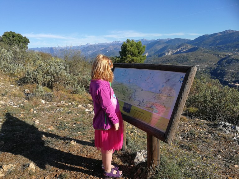 Mange trekkfugler drar forbi her