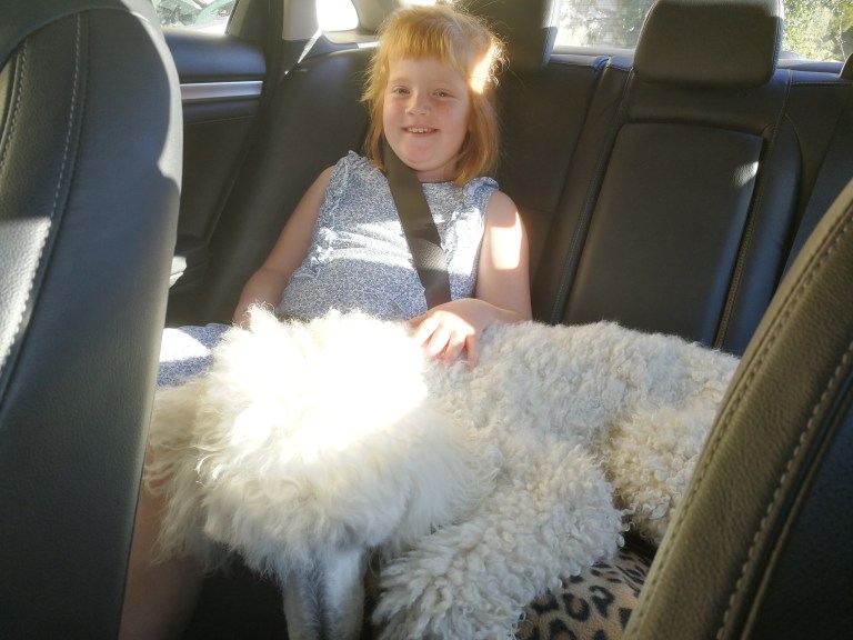 Cleo er veldig snill, også nå vi kjører bil.